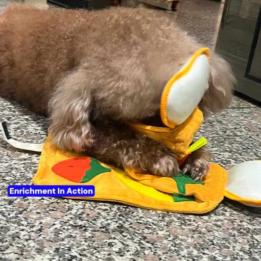 The Enrichment Mystery Box