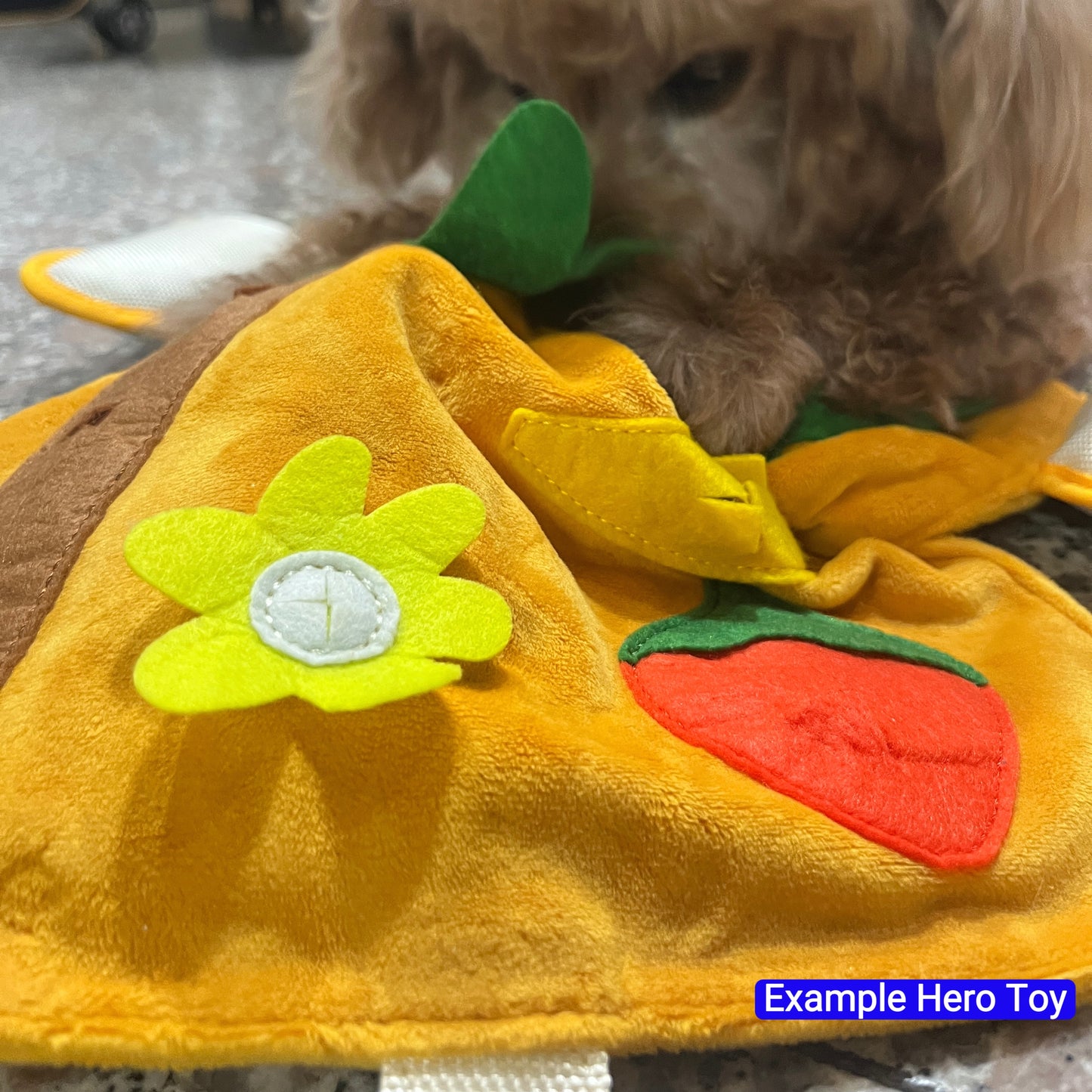 The Enrichment Mystery Box