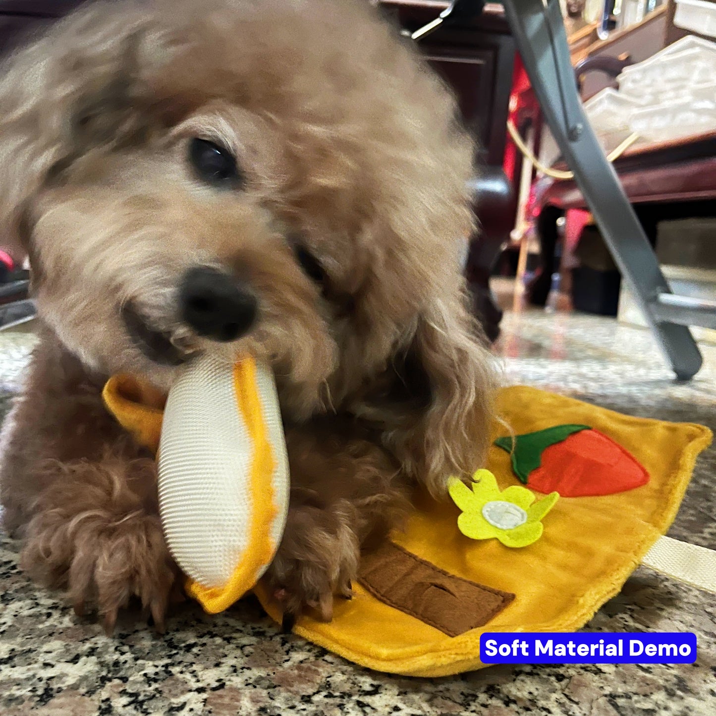 The Enrichment Mystery Box